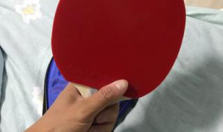 日本小鸟乒乓球拍底板与蝴蝶王球拍底板哪个好 银河乒乓球拍底板 好吗